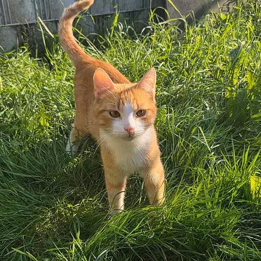 Foto von Isaac