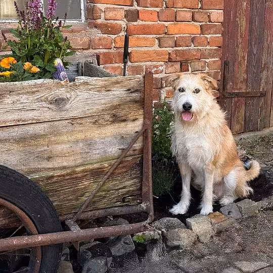 Foto von Tallulah