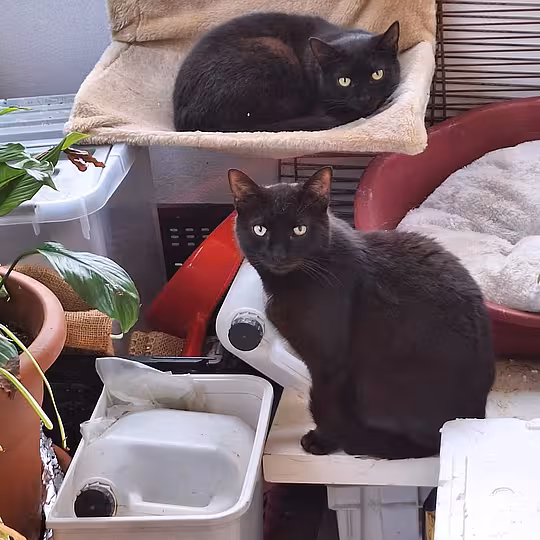 Foto von Gabi und Garry