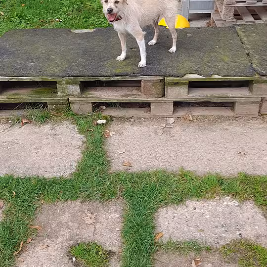 Foto von Suna
