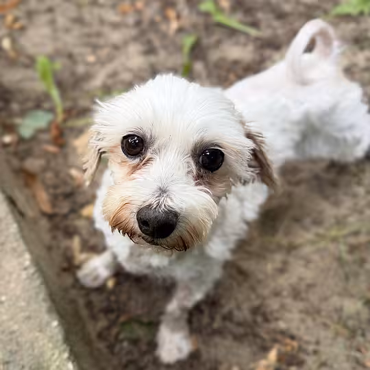 Foto von Trudi