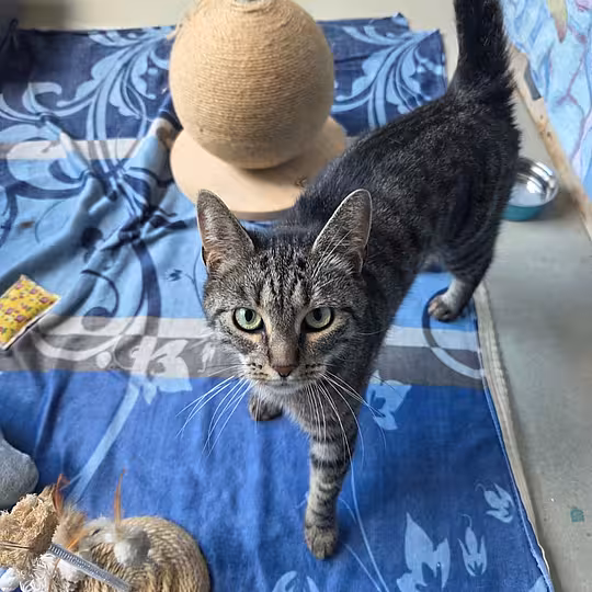Foto von Luna
