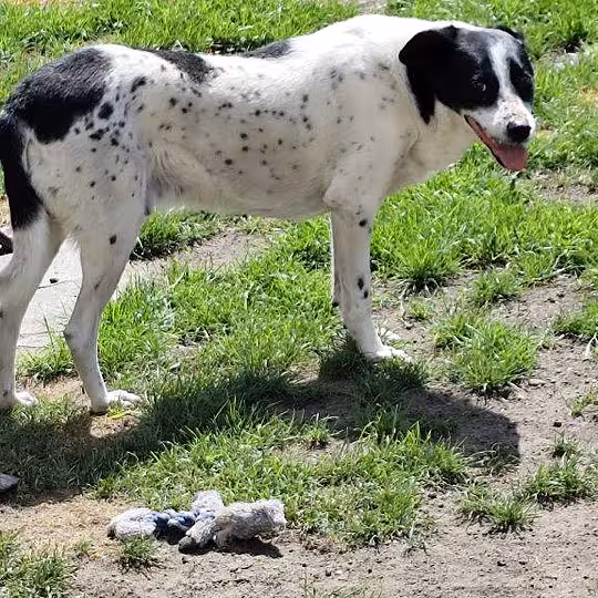 Foto von Kalli