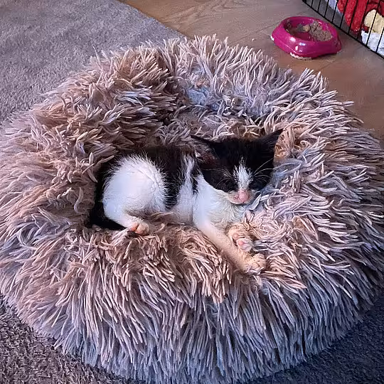 Foto von Emmi