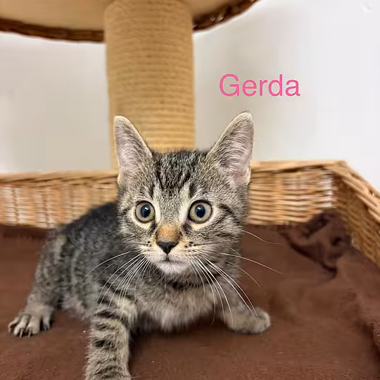 Foto von Gerda