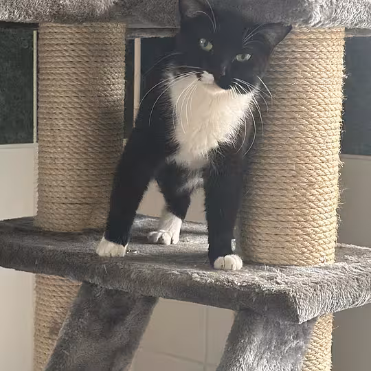 Foto von Moni