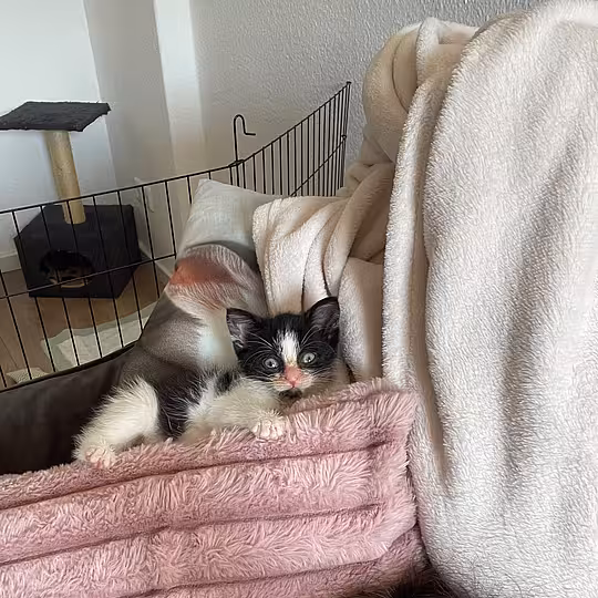 Foto von Emmi