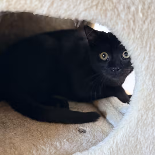 Foto von Gunther und Giesela