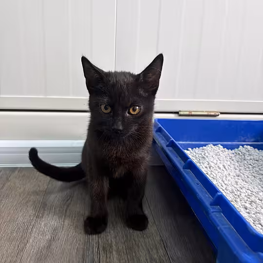 Foto von Frodo