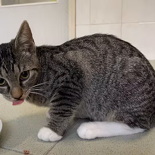 Foto von Flora und Flori