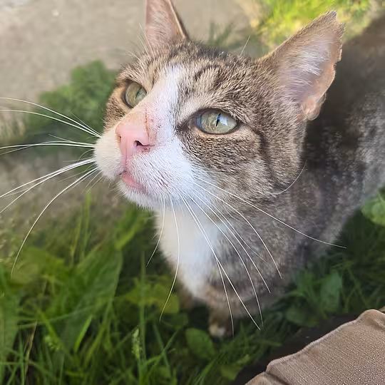 Foto von Frank (Frääänk)