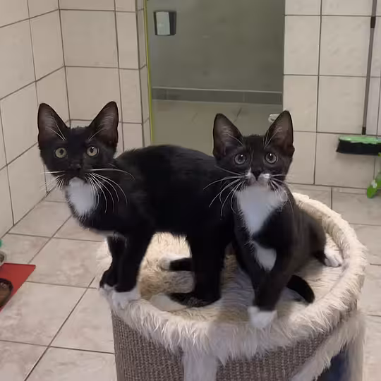 Foto von Isla & Zeynep