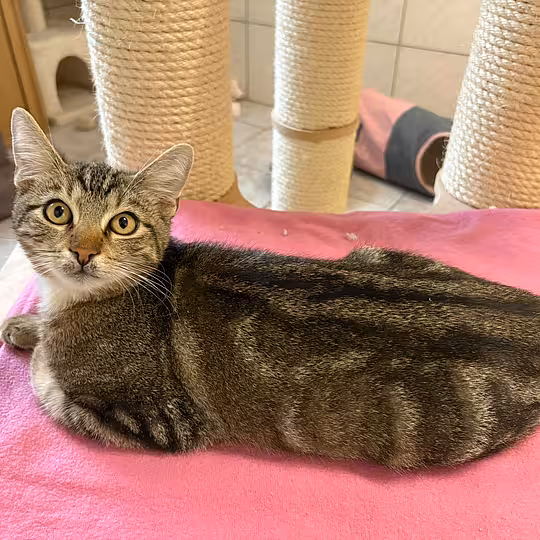 Foto von Winston & Preston