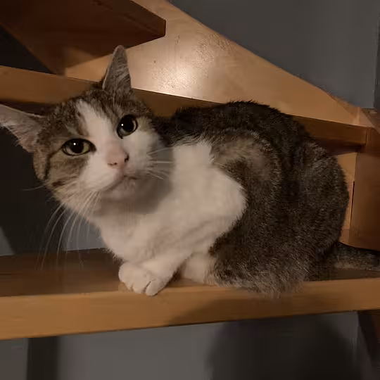 Foto von Katie (Privatvermittlung)
