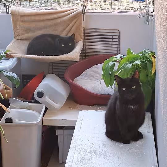 Foto von Gabi und Garry