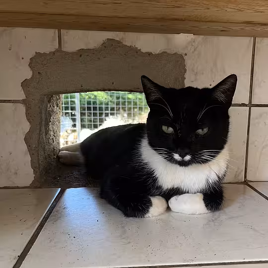 Foto von Ida