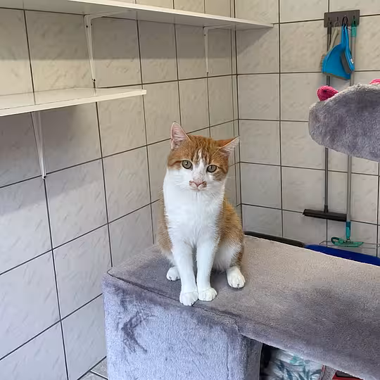 Foto von Augustin