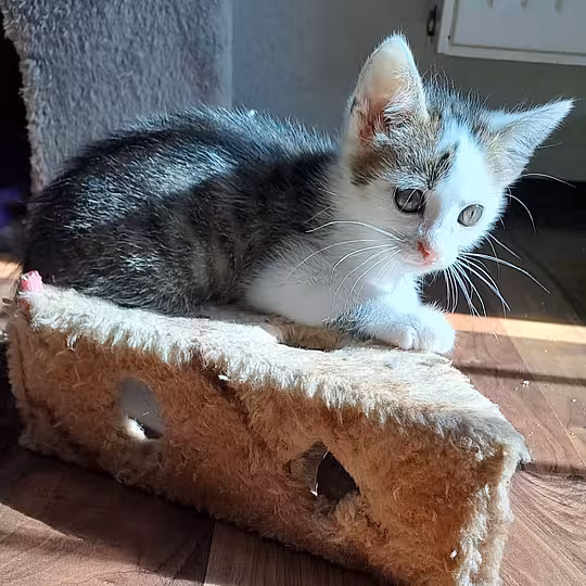 Foto von PEGGY