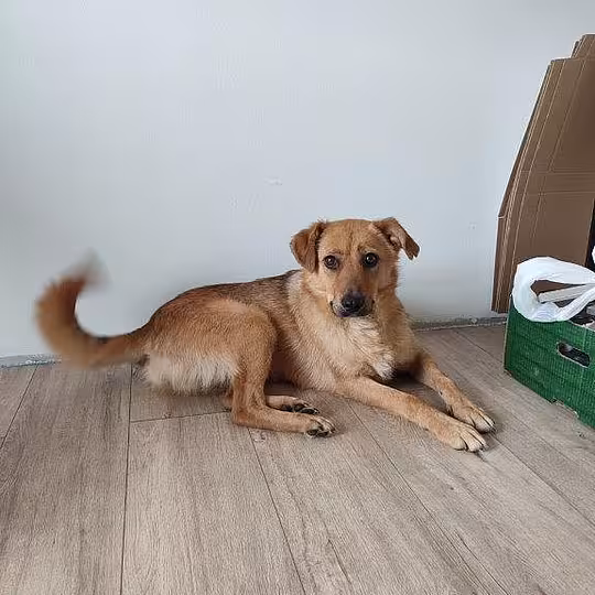 Foto von Malou