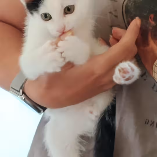 Foto von Snupi und Nadia