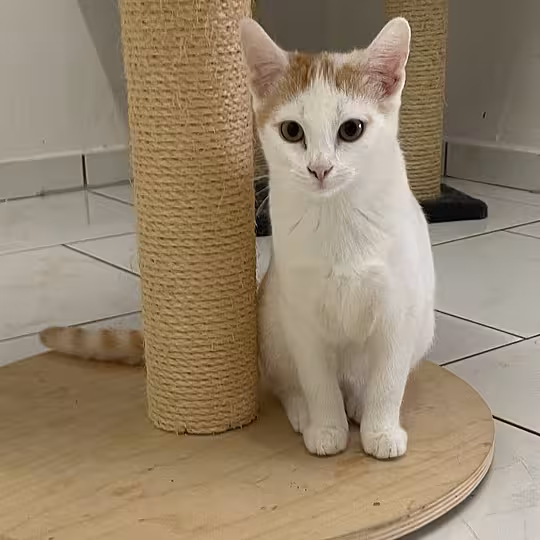 Foto von Mercy und Matti