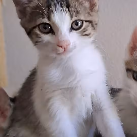 Foto von LEONIE