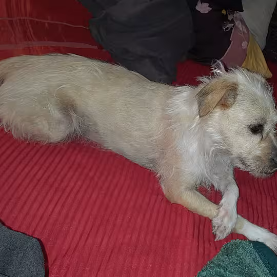 Foto von Suna
