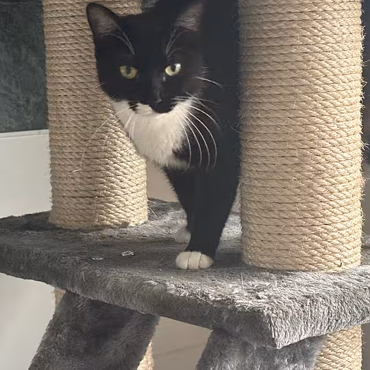 Foto von Moni