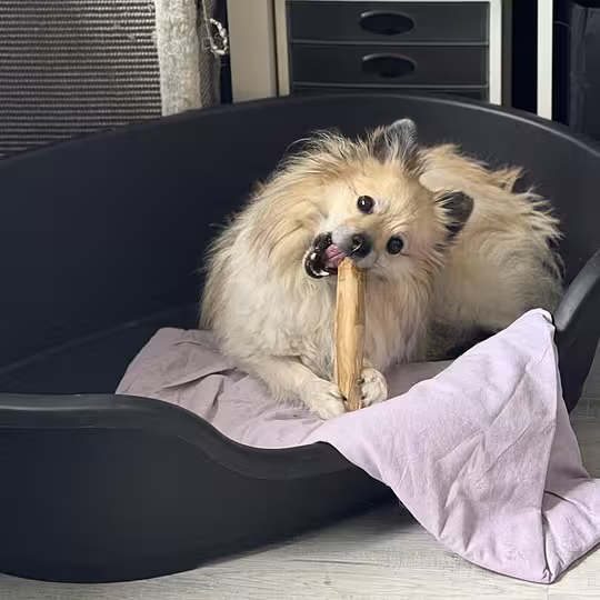 Foto von Fetu (Privatvermittlung)