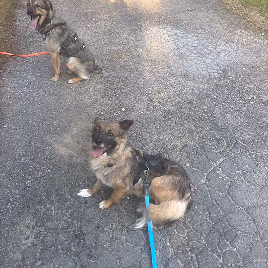 Foto von Bonita