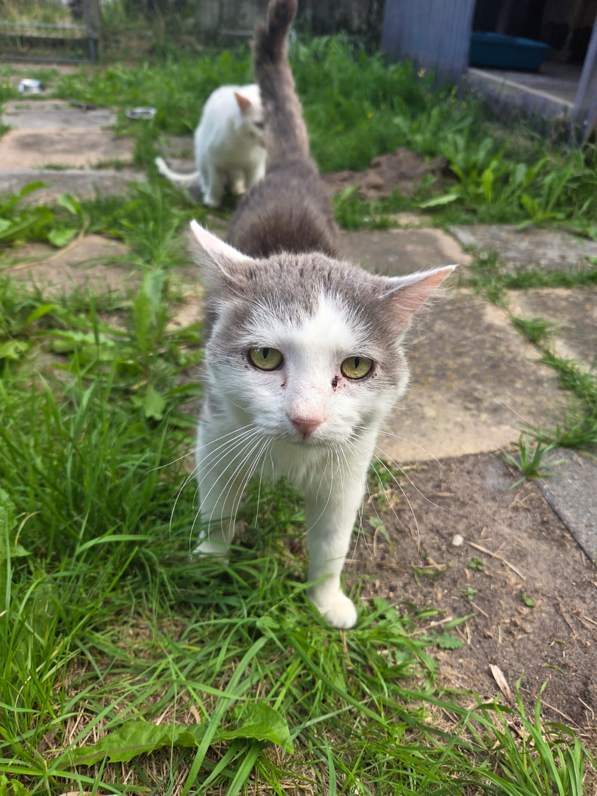 Foto von Teddy